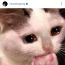 멋댕이 이미지