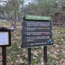 소선암자연휴양림 이미지