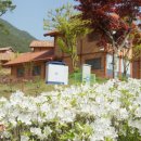 침곡리 입구 이미지