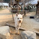 부리농장 | 강릉동물원 아이랑 가기좋은 대관령아기동물농장