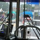 대진행정사무소 이미지