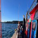 솔동산로11번길 | 제주 낚시체험 서귀포 낚시체험 후기