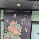 나전칠기 이미지