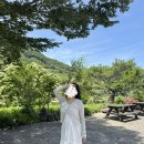 롯데백화점비비안 - 부산진구 가야대로 772 | 비비안웨스트우드 런던 오브 팬던트 목걸이 구매 후기 / 크기 비교 / 착용샷 / 1년후기 🪐🤍
