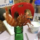 황금마차&포차 이미지