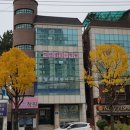 일등행정 이미지