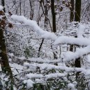 장성마을 건너 이미지