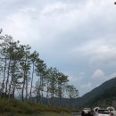 경포빅토리아파크 이미지