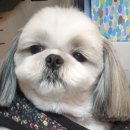 디자인모에 이미지