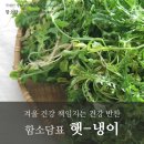 이병용 농장 네이버블로그