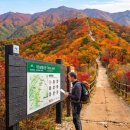 뻥쟁이네제주돼지 | 외국인 친구 데리고 한국 등산 간다면, K트레킹 인기 코스 예약 방법 먼저 확인한 후기