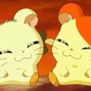 밤밤 이미지