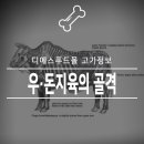 우 & 돈