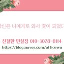 삼보꽃집 티스토리