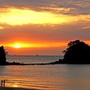 꽃지노을 이미지