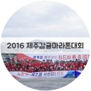 뉴바로 여행사