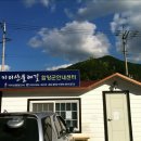 금계1 이미지
