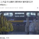 펜타포트 락페스티벌에서 싸움남 이미지