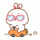 김해시티즌 네이버블로그