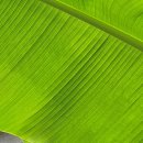 믿음의 동산 이미지