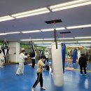 용인대GX복싱 이미지