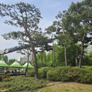 스카이코리아 | 영등포스카이차임대 안전하고 신속한 스카이코리아 이용 후기