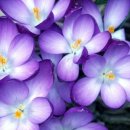 참좋은이웃 이미지