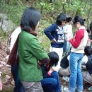 탄금중학교 이미지