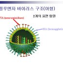 전염병 칼럼 13 : 보이지 않는 위협 조류독감 (독감의 역사) 이미지