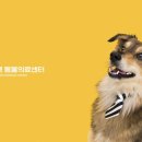 상대원 동물병원 이미지