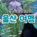 도호1길 | 울산은 정말 노잼 도시일까? 솔직 여행 후기, 1박2일 코스 공유