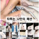 멍멍뷰티 이미지