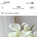엘리스&플라워 | 대구 본식 부케 추천 앨리스플라워 내돈내산 예약 후기 대구역 꽃집보다 저렴하고 대구로카드 결제까지...