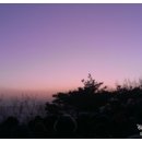 정동진제이 이미지