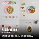 펫푸드연구소왈왈 | [시루의냠] 말티즈 자연식 주간 식단 기록 #8 (8월3일~8월9일)