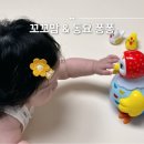 꼬꼬맘 시기 동요 사운드토이 블루래빗 유아완구 아이큐베이비 후기