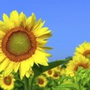 김경태한의원 이미지