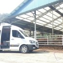 초동축산 이미지