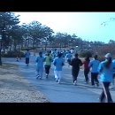 서울시교육청 마라톤대회 참가 이미지