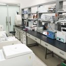 (주)미래안전 이미지