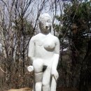 시라시스 이미지