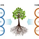 강원대학교 녹색생명산업정책대학원 이미지