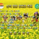 25.4.13. 삼척 맹방 유채꽃 축제 트래킹 이미지