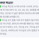 동일1차4가 이미지