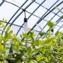 어등농장 이미지