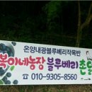 복이네 농장 이미지