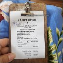 스파 라 스파(Spa la Spa) | [나트랑 여름휴가] 나트랑 깜란지역 라스파(LA SPA) 솔직후기 - 7박 8일 Day7