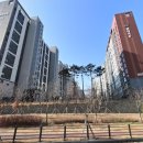 퍼펙트쉴드파주 이미지