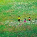 여름소풍 이미지