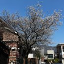 11650-17-30-13 | 아이폰17 일반 언박싱 후기(+눈물의 아이폰 13미니 탈출)